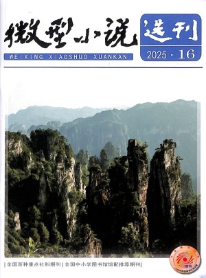 微型小说选刊杂志订阅
